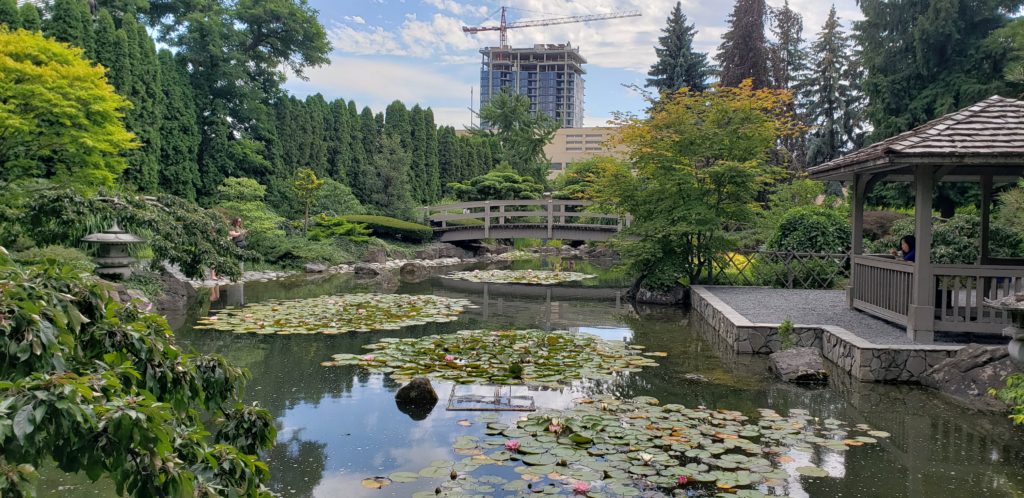 A pond with three patches of water lilies, surrounded by decorative shrubs.  On the right side a pagoda overlooks the water.