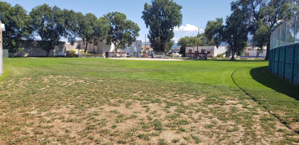 a grassy field with a baseball diamond in the background