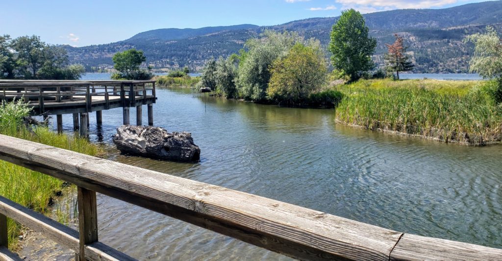 a lakeside wetland bordered by a boardwalk