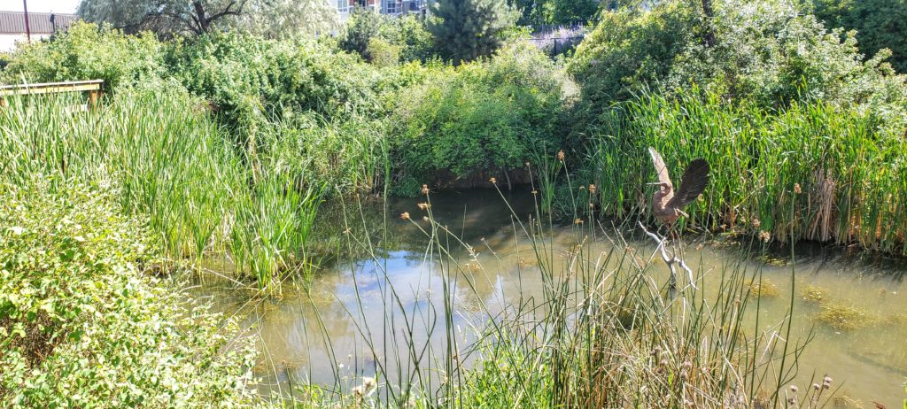 a metal heron statue stands in the middle of a pond surrounded by rushes