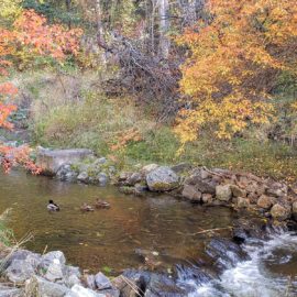 Exploring Mission Creek and Nearby Parks