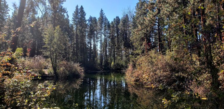 Discovering Mission Creek Regional Park in Kelowna BC – My Wanderlust ...