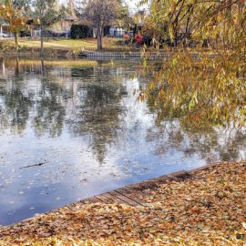 Discovering Parks in Old Glenmore