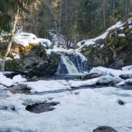 Exploring Ellison and Mill Creek Regional Park