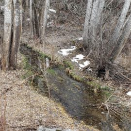 Exploring Gopher Creek and lower Mine Hill