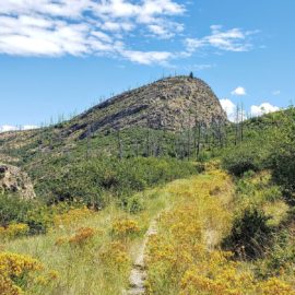 Hiking in the Johns Family Nature Conservancy Regional Park