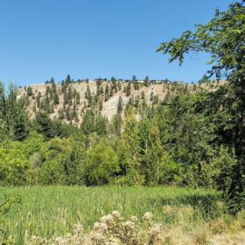 Exploring Three Major Parks Near Midtown Kelowna